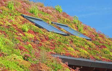 Sibford Ferris living roof systems